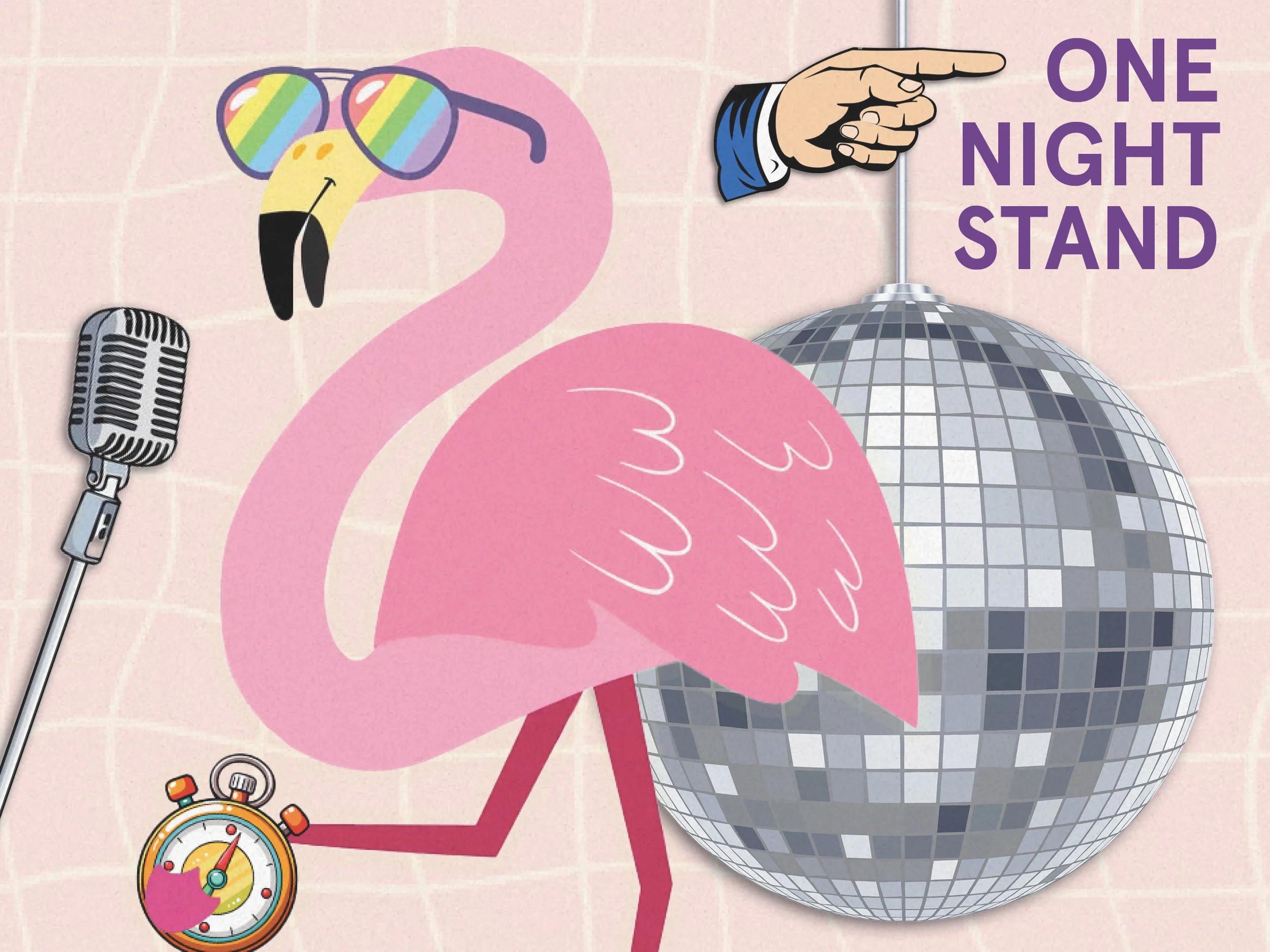 Illustration of a pink flamingo wearing rainbow-tinted sunglasses, standing next to a disco ball and a vintage microphone on a stand, with a stopwatch at its feet. A cartoon hand points at the disco ball, and purple text reads 'One Night Stand' in the corner.
