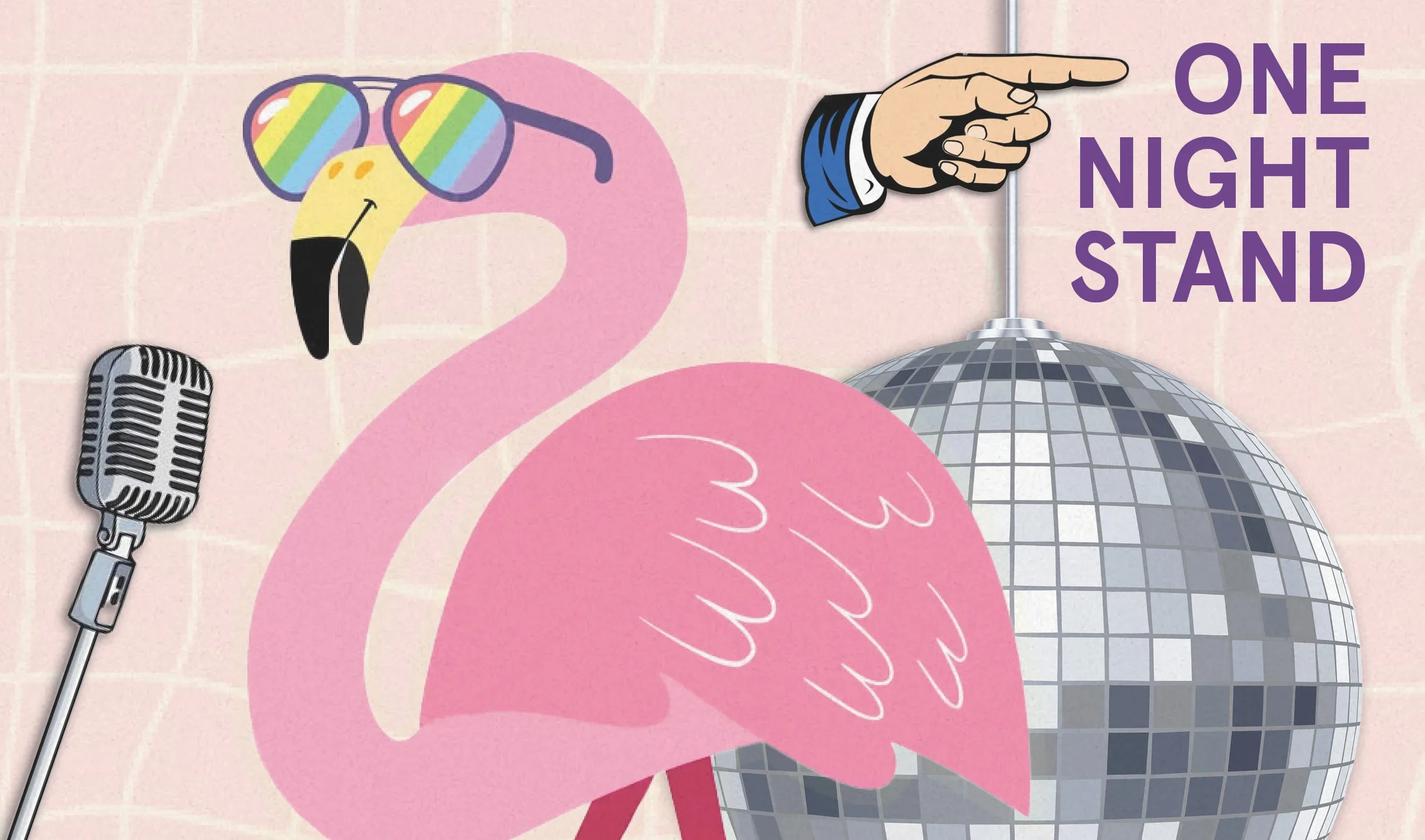 Illustration of a pink flamingo wearing rainbow-tinted sunglasses, standing next to a disco ball and a vintage microphone. A cartoon hand points at the disco ball, and purple text reads 'One Night Stand' in the corner.