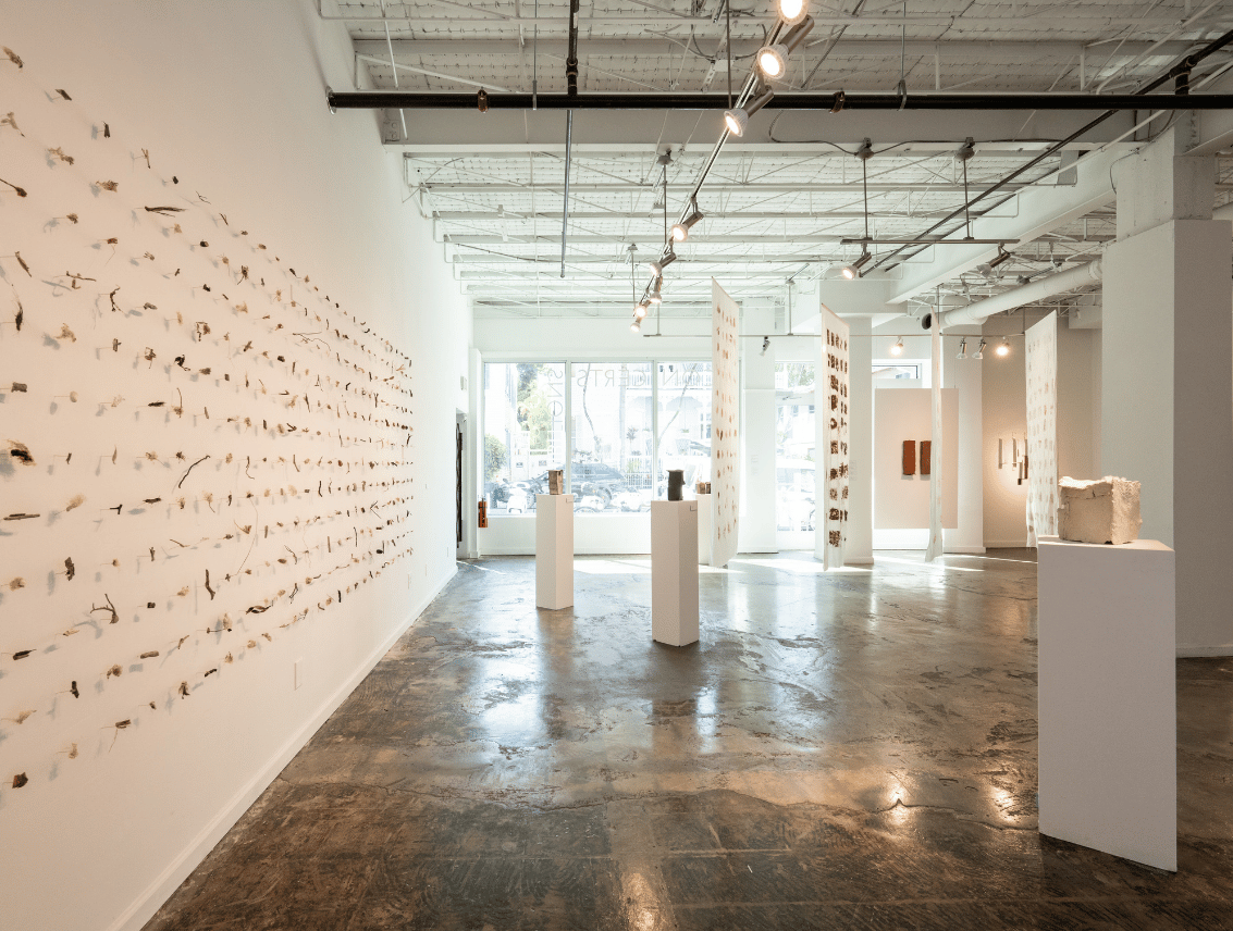 Interior of a white-walled contemporary art gallery with polished concrete floors, showing a large wall installation of small organic specimens arranged in rows, freestanding pedestals with small sculptures, and hanging fabric panels.