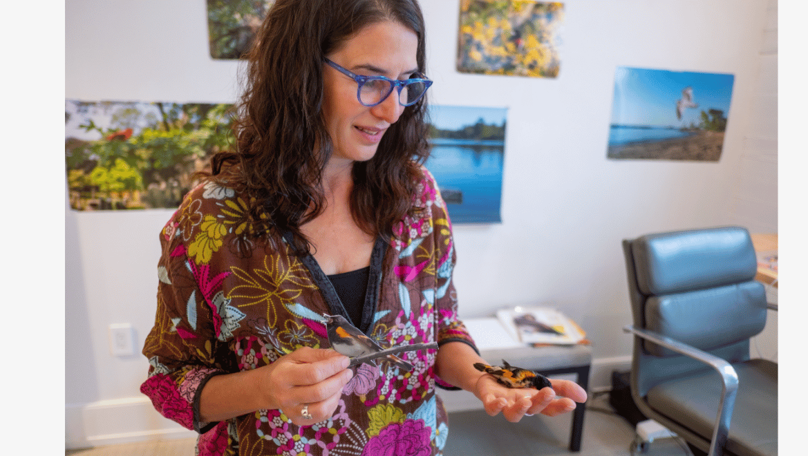 Artist wearing blue glasses holds two small birds in her hands inside a studio, with nature photographs displayed on the walls behind her.